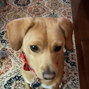 Meet your Posher, Kaylin